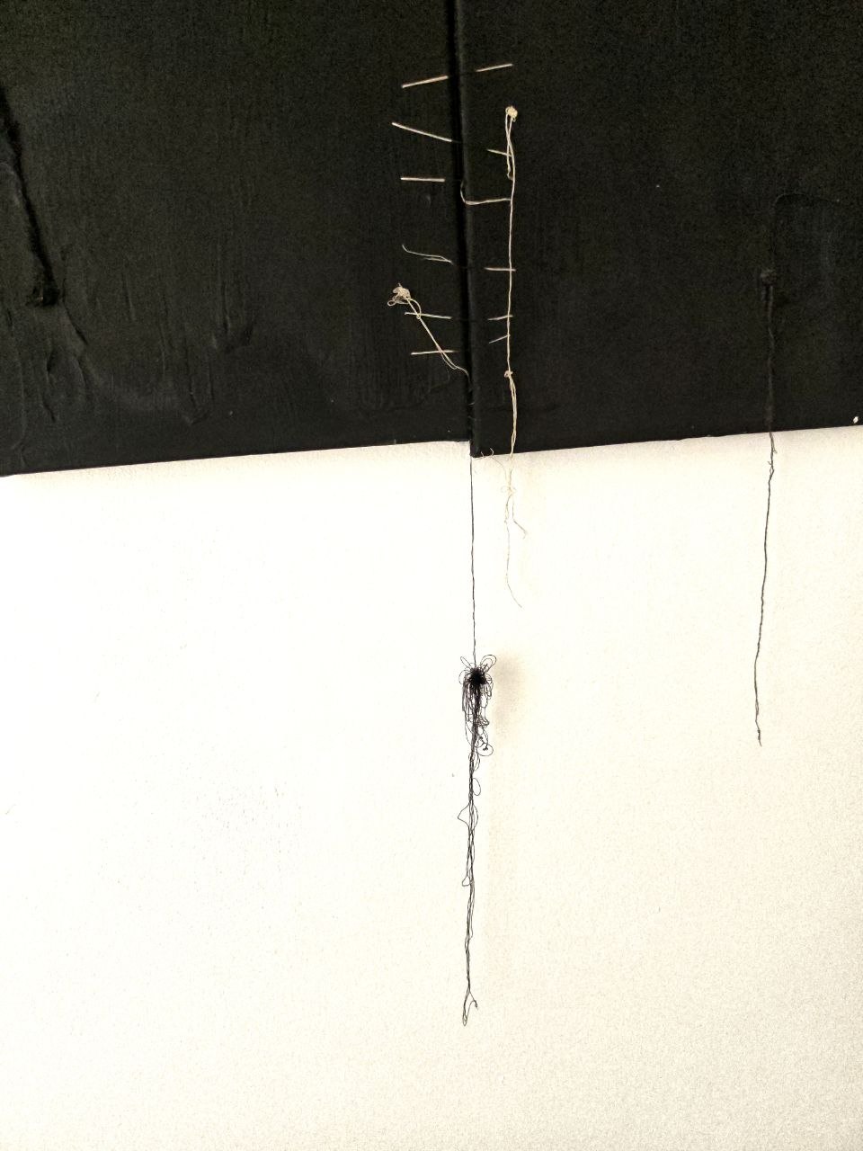 Linea di Faglia — 2